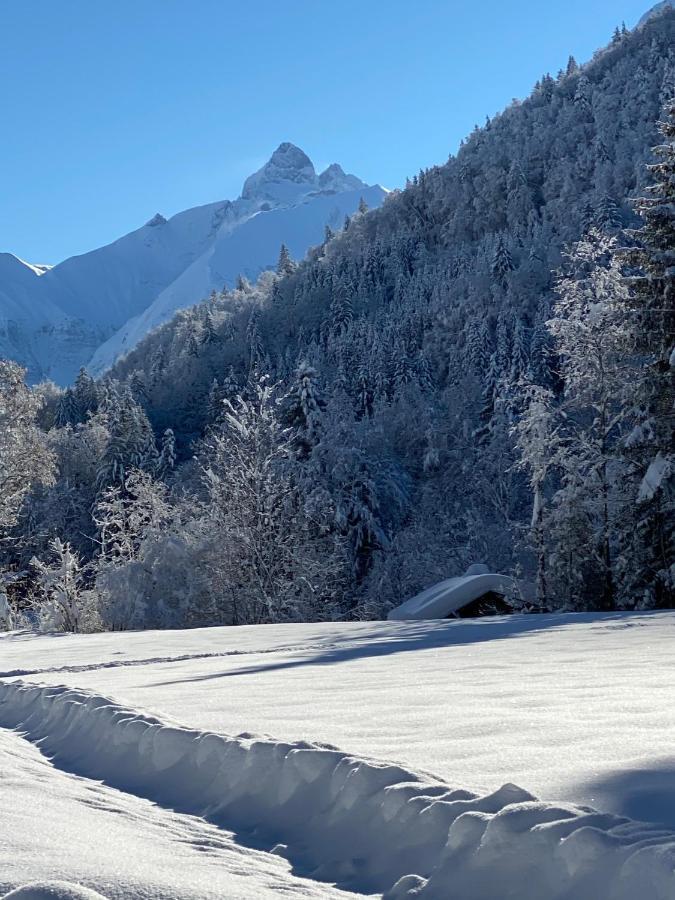 Landhaus Am Plattenbichl - Luxus Apartment Mit Privat-Pool Und Sauna - Im Sommer Bergbahn Inklusive Oberstdorf Kültér fotó