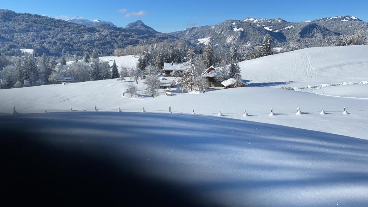 Landhaus Am Plattenbichl - Luxus Apartment Mit Privat-Pool Und Sauna - Im Sommer Bergbahn Inklusive Oberstdorf Kültér fotó