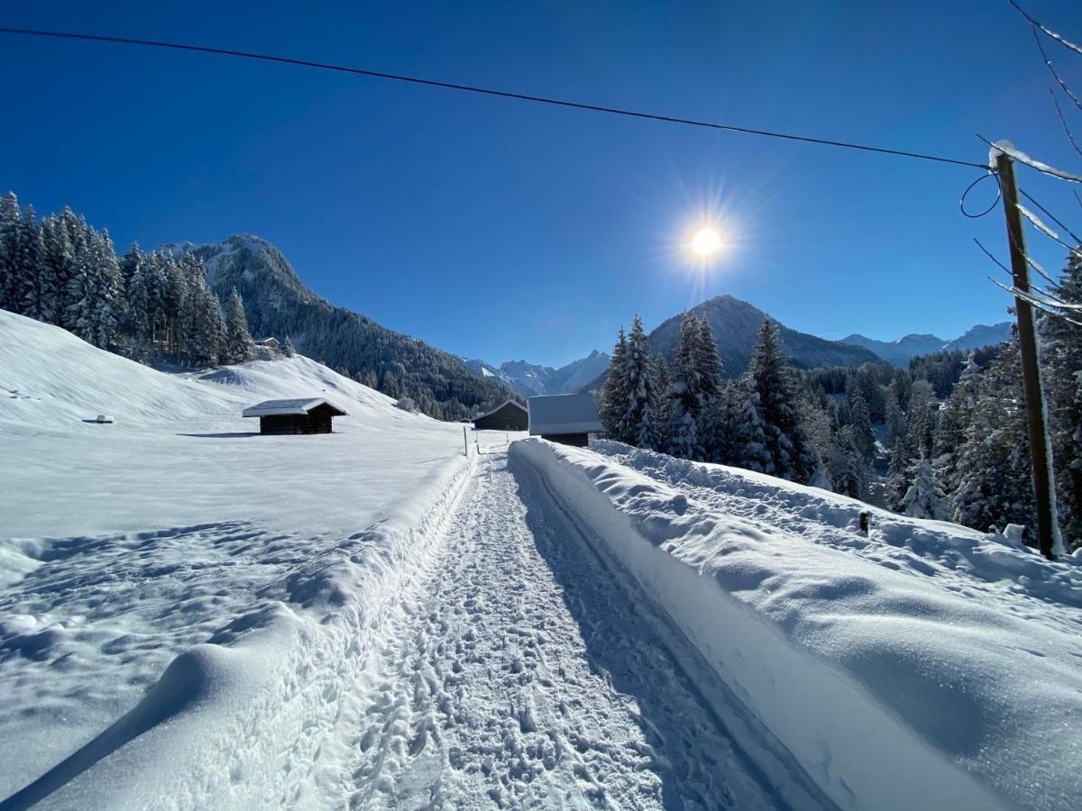 Landhaus Am Plattenbichl - Luxus Apartment Mit Privat-Pool Und Sauna - Im Sommer Bergbahn Inklusive Oberstdorf Kültér fotó