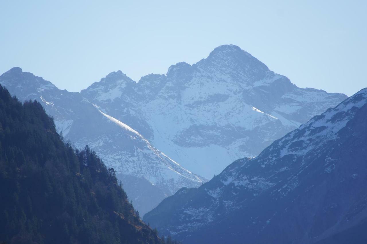 Landhaus Am Plattenbichl - Luxus Apartment Mit Privat-Pool Und Sauna - Im Sommer Bergbahn Inklusive Oberstdorf Kültér fotó
